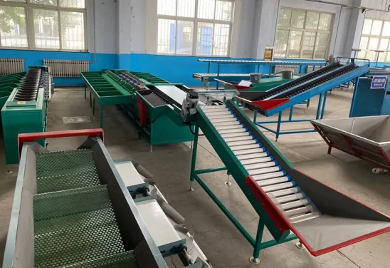 automatic fruit sorting machine