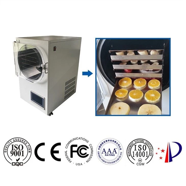 Home Freeze Dryer factory