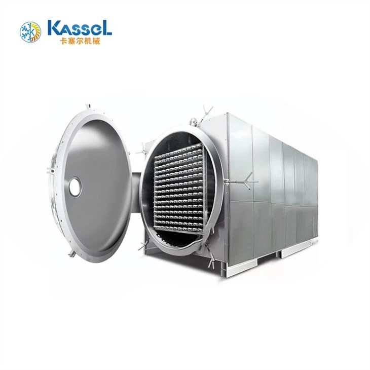 Vacuum Freeze Dryer suppliers